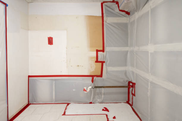 Best Attic Mold Removal  in Arcola, TX