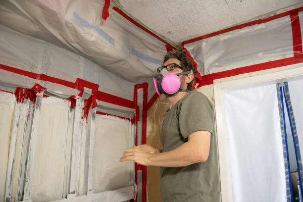 Best HVAC Mold Inspection and Cleaning  in Arcola, TX