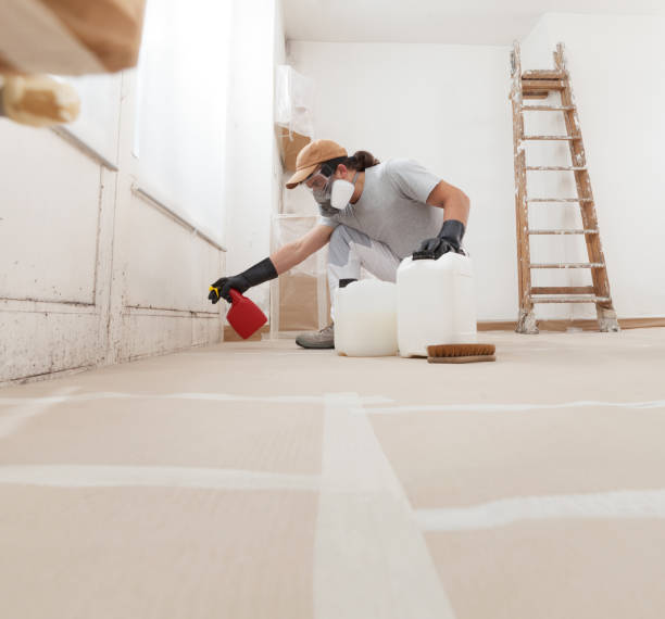 Best Commercial Mold Inspection  in Arcola, TX